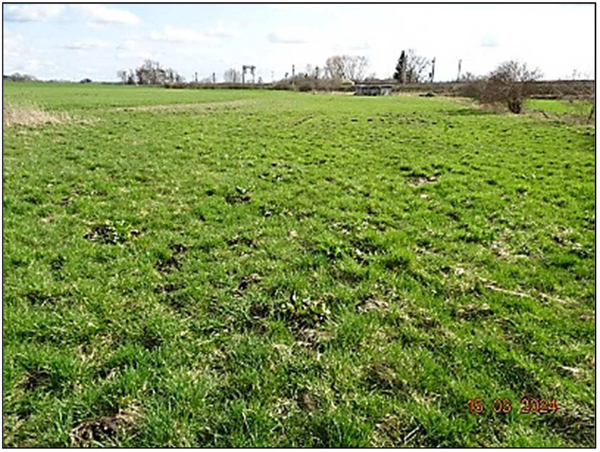 bayern K0112-2023 Flst. 5045 Gemarkund Mering , 00000 Kreut 9