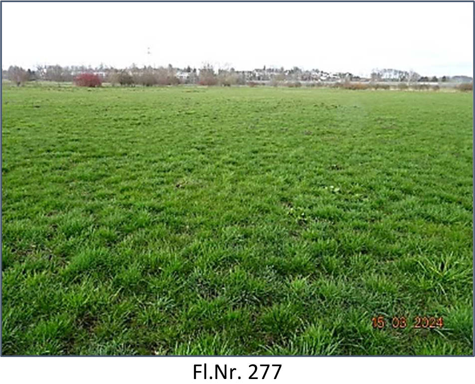 land- und forstwirtschaftlich genutztes Grundstück in Flst. 277 Gemarkung Merching, 00000 Finsterwiesen - Bild 5