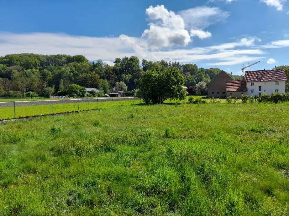 bayern K 0116/2023 Wiesenweg 4, 86508 Rehling 7