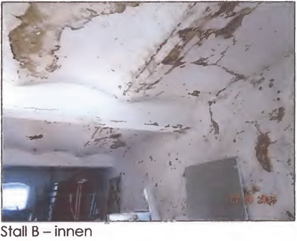 bayern K 0133/2024 Schloßstraße  17, 86485 Bieberbach, Markt 21