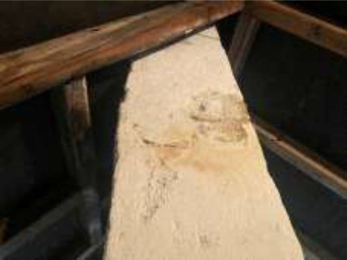 bayern K 0134/2024 Branderstraße 36, 86154 Augsburg, Oberhausen 19