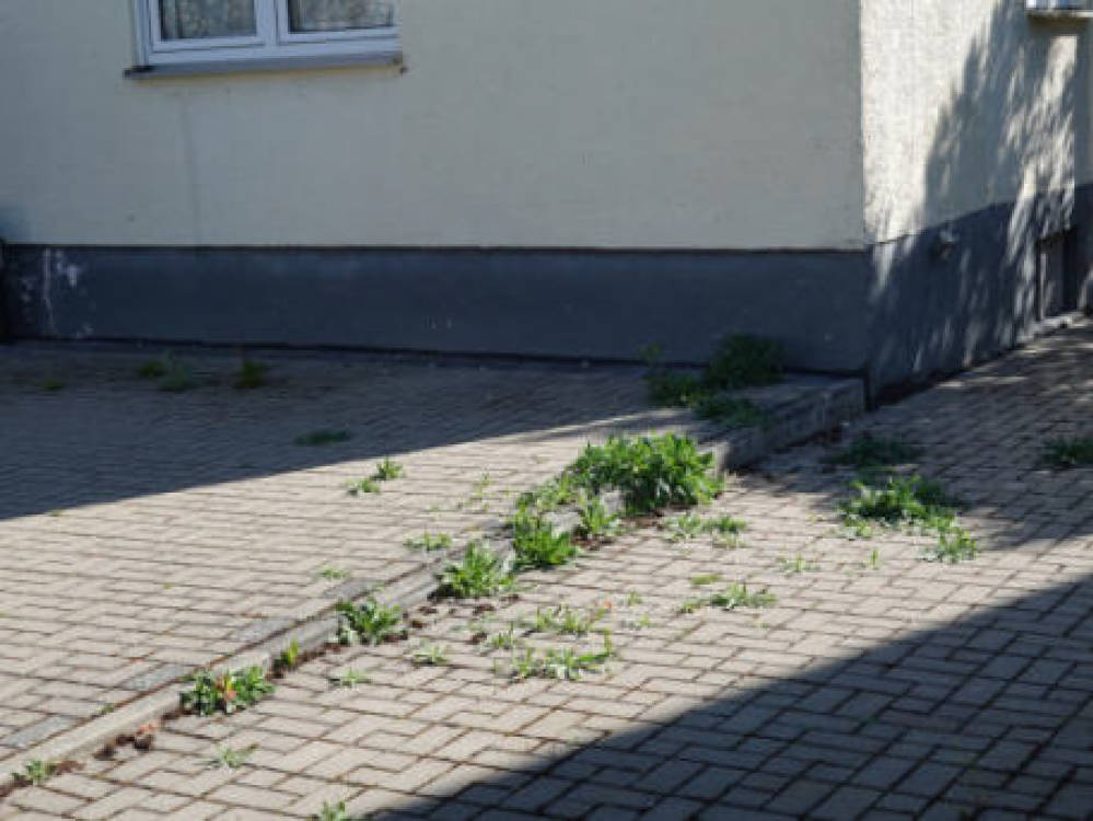 Einfamilienhaus in Hopfenweg  3, 82269 Geltendorf - Bild 5