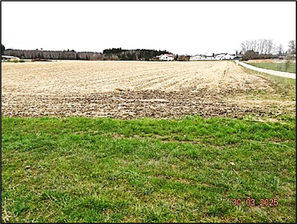 Einfamilienhaus, land- und forstwirtschaftlich genutztes Grundstück in Ganghoferstraße  4, 86465 Welden - Bild 5