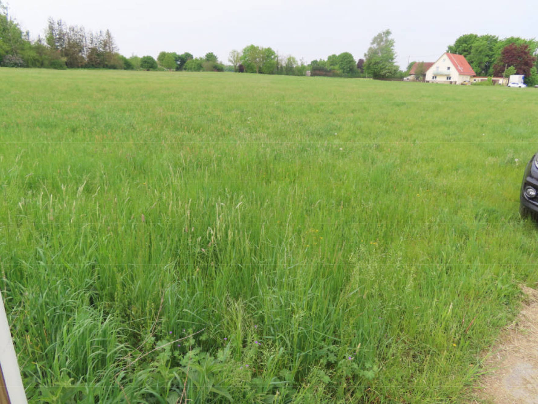 land- und forstwirtschaftlich genutztes Grundstück in Nähe Landsberger Straße , 86343 Königsbrunn - Bild 5