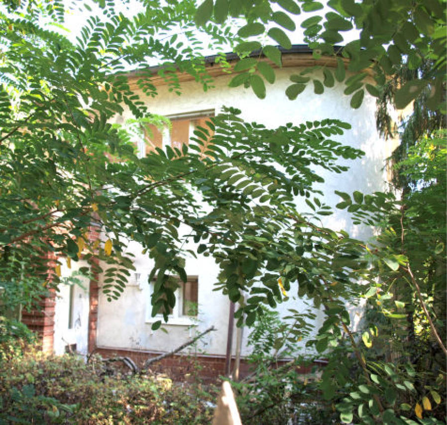 Zweifamilienhaus in Auber Steig 10, 13465 Berlin - Bild 4