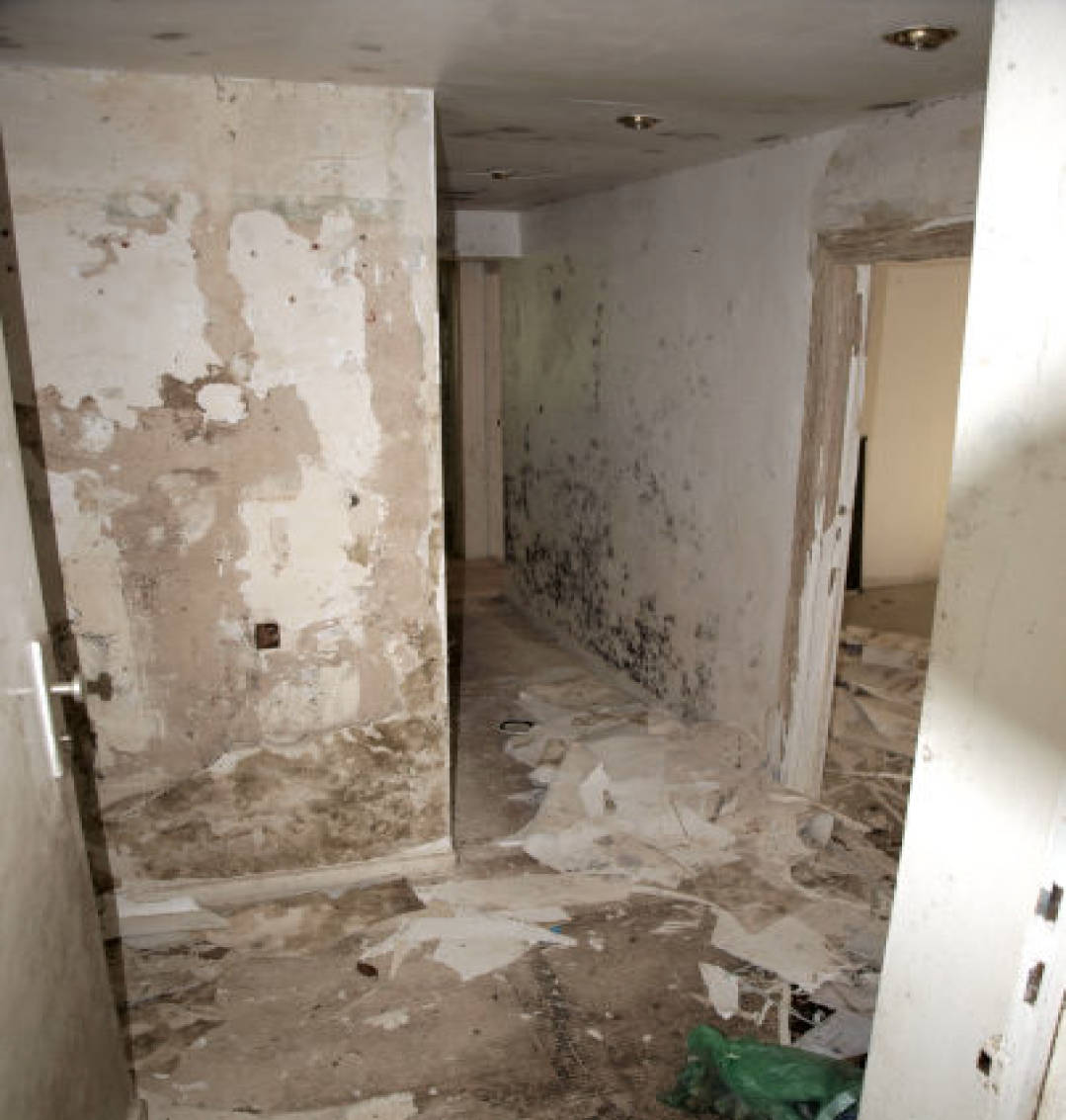 berlin 0030 K 0005/2023 Auber Steig 10, 13465 Berlin 12