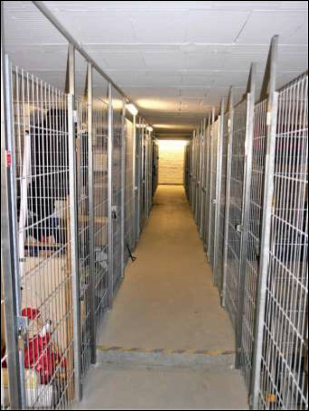 berlin 0030 K 0010/2022 Auerstr. 47, 49, Richard-Sorge-Str. 68, 10249 Berlin, Friedrichshain 23