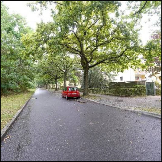 Eigentumswohnung (3 bis 4 Zimmer) in Speerweg 39, 13465 Berlin - Bild 5