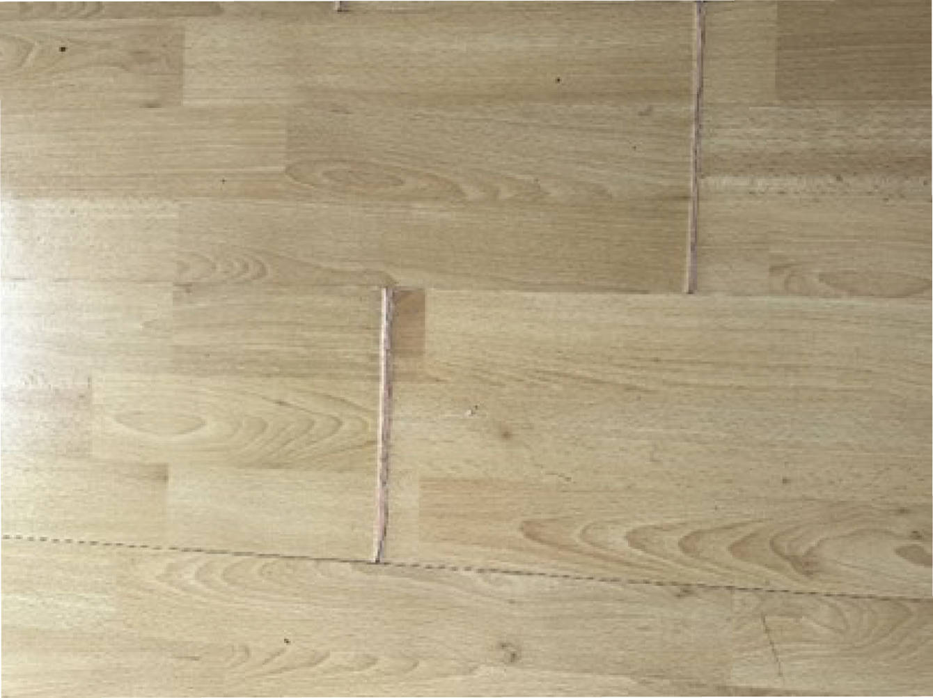 berlin 0030 K 0019/2024 Alt-Lichtenrade 22, 22A, 12305 Berlin, Lichtenrade 12