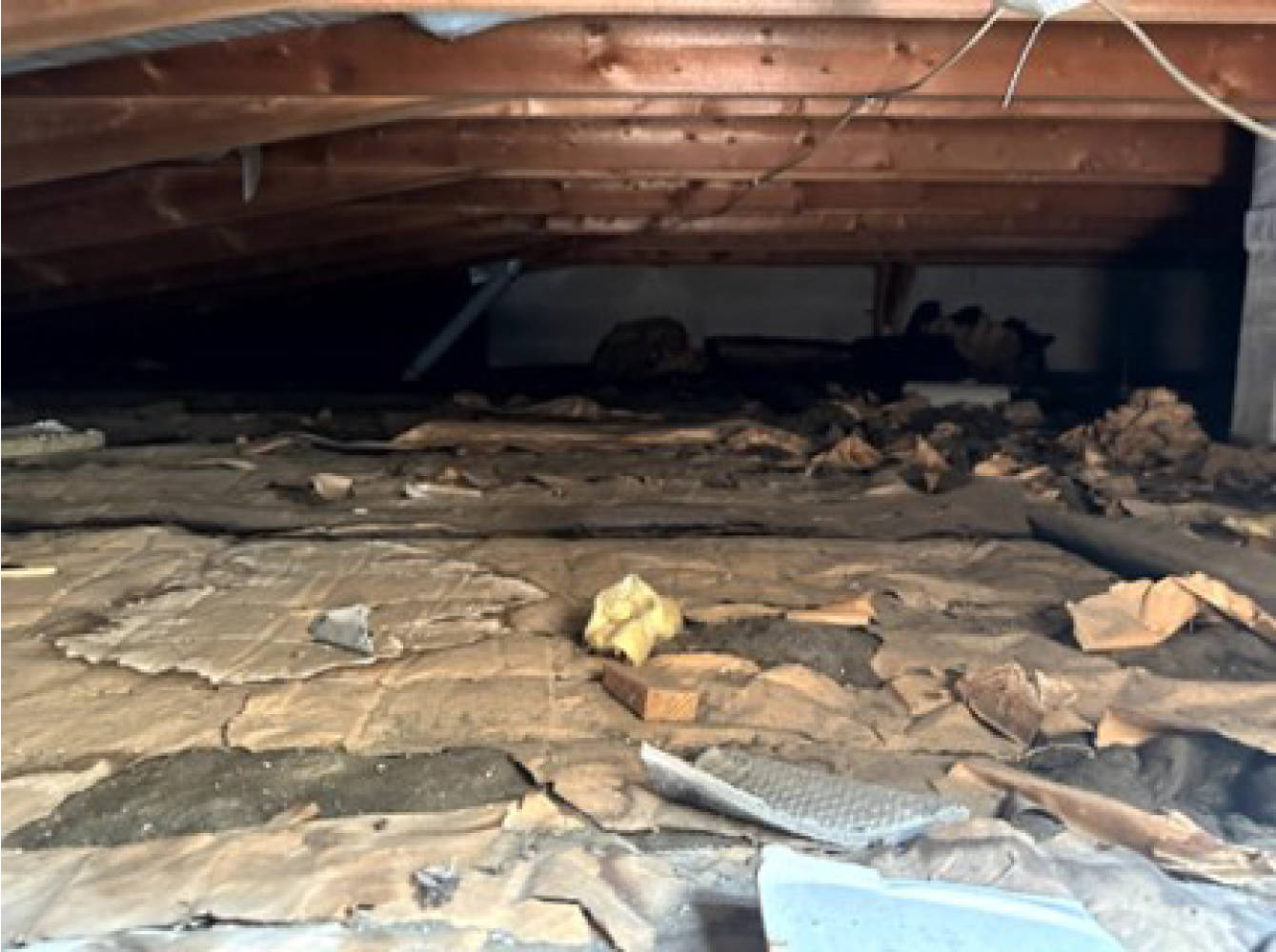 berlin 0030 K 0019/2024 Alt-Lichtenrade 22, 22A, 12305 Berlin, Lichtenrade 23