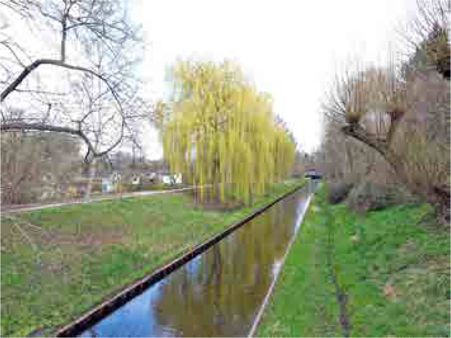 berlin 0030K0025-2022 Gotttschalkstraße 16, 13359 Berlin 14