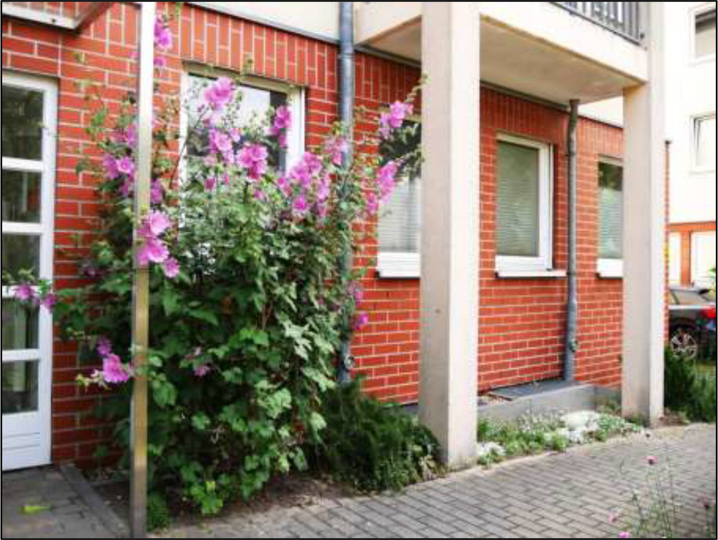 berlin 0038 K 0004/2025 Friedrich-Engels-Straße 22, 13156 Berlin 15