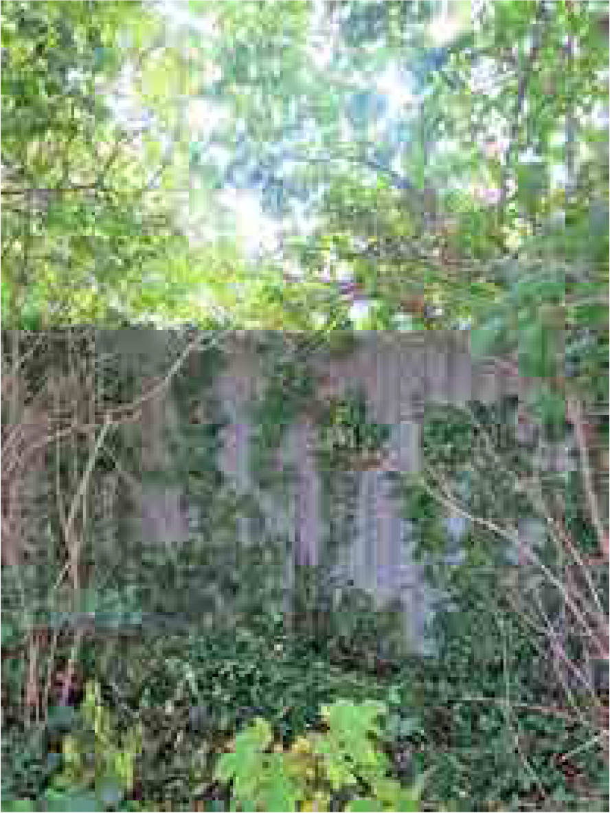berlin 0070K0007-2022 Mohriner Allee 160C, 12347 Berlin-Britz, Berlin 13
