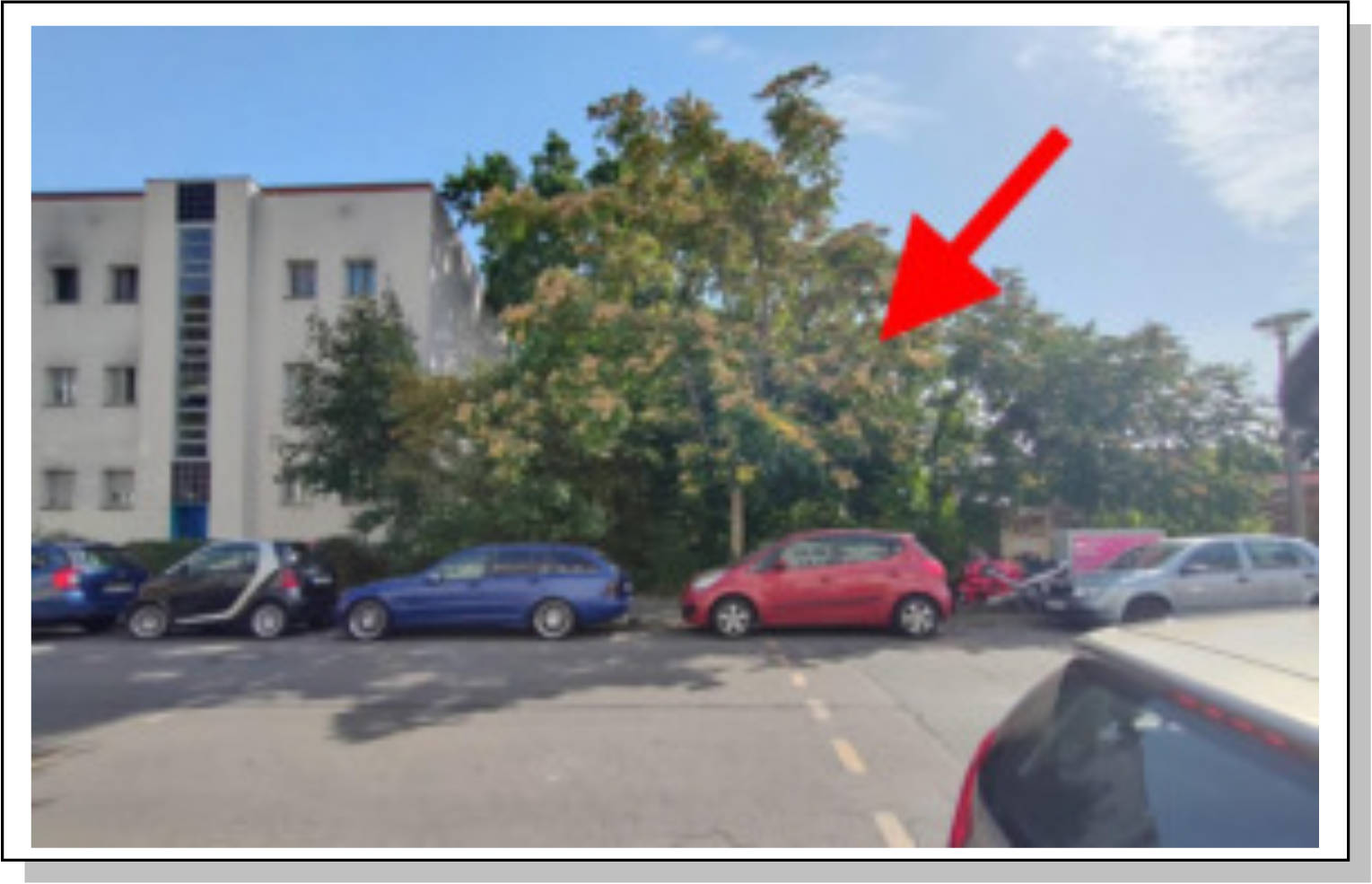 berlin 0070 K 0015/2023 Anna-Seghers-Straße 177, 12489 Berlin, Adlershof 7