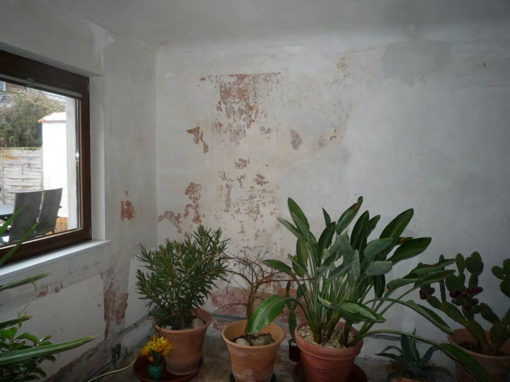 berlin 0070K0021-2024 Parchwitzer Straße 13, 12526 Berlin, Bohnsdorf