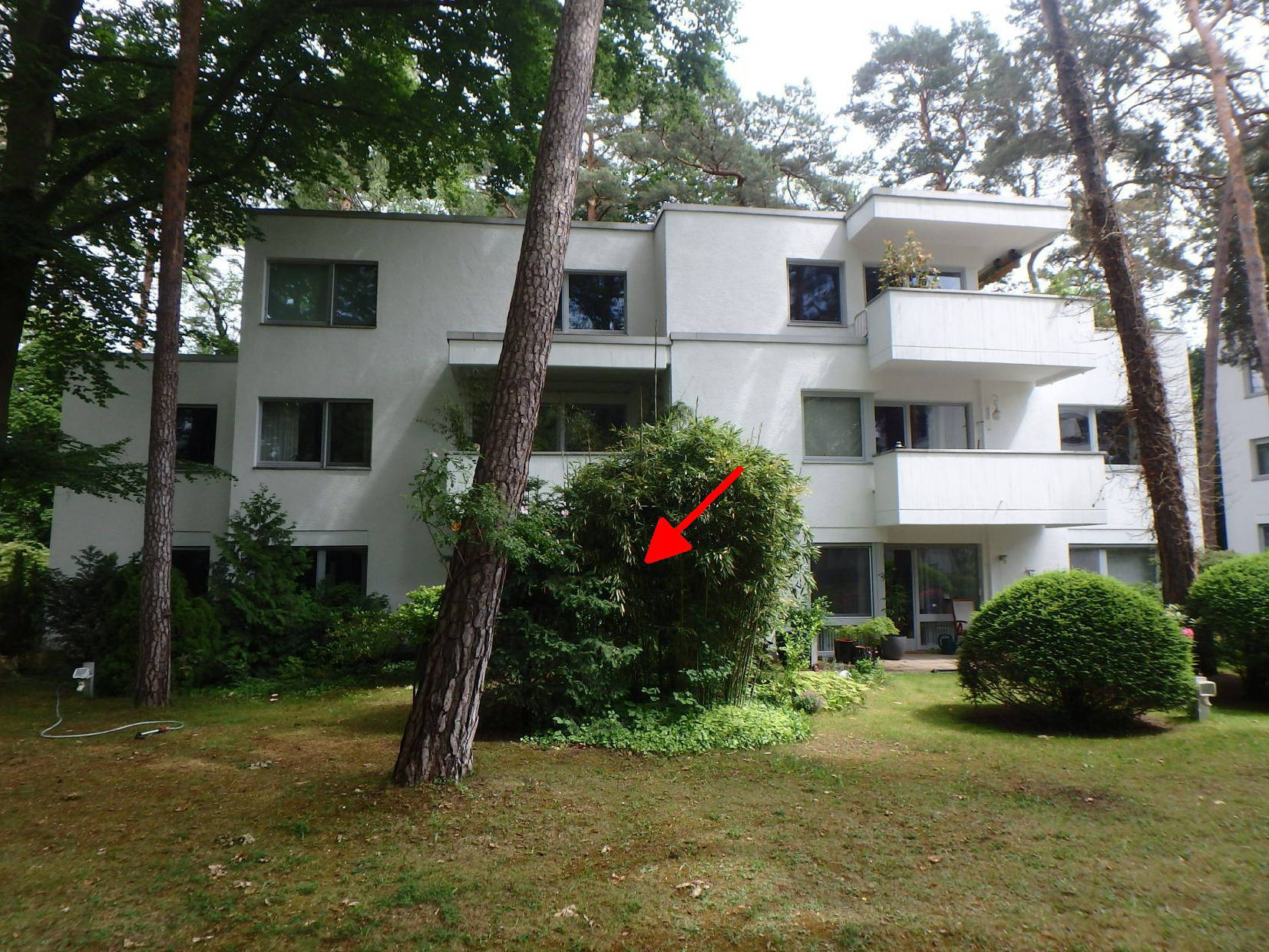 berlin 0070 K 0023/2025 Goldfinkweg 1, Dünkelbergsteig 6/10, Waldmeisterstraße 8, 8A, 8B, 14195 Berlin 6