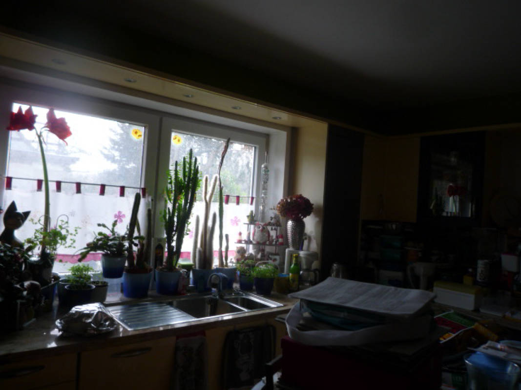 berlin 0070 K 0037/2024 Späthsfelder Weg 81, 12437 Berlin, Baumschulenweg 15