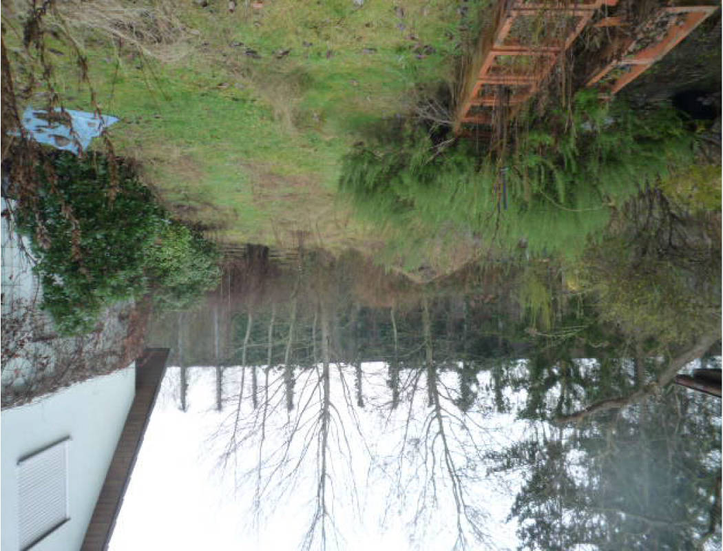 berlin 0070 K 0037/2024 Späthsfelder Weg 81, 12437 Berlin, Baumschulenweg 11