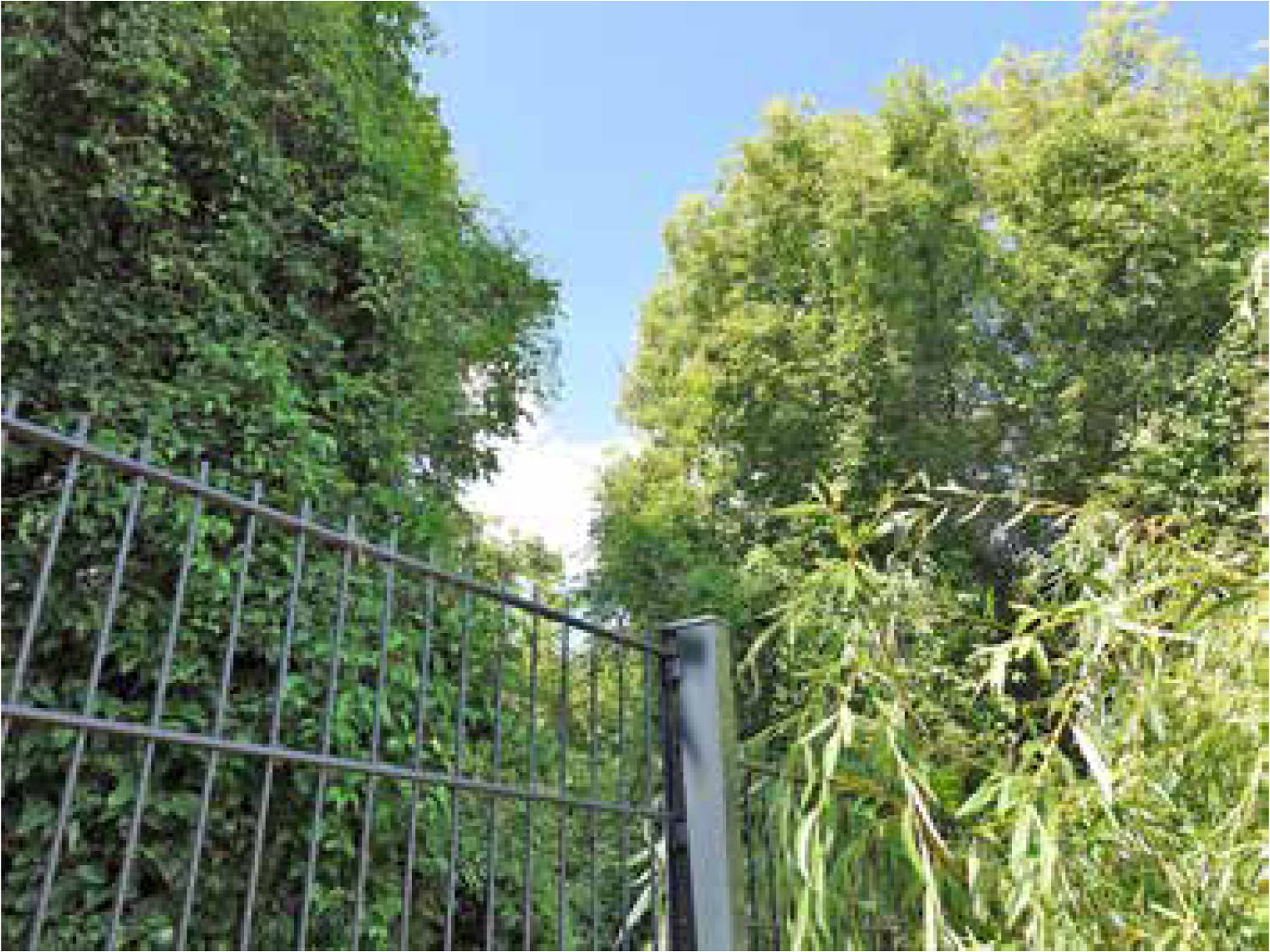 unbebautes Grundstück in Johannisthaler Chaussee 441, 12351 Berlin, Bickow - Bild 4