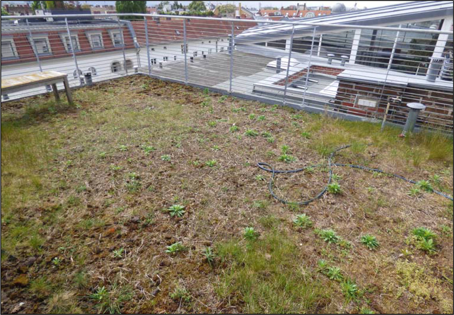berlin 0070K0085-2023 Pestalozzistraße  4, 10625 Berlin 19