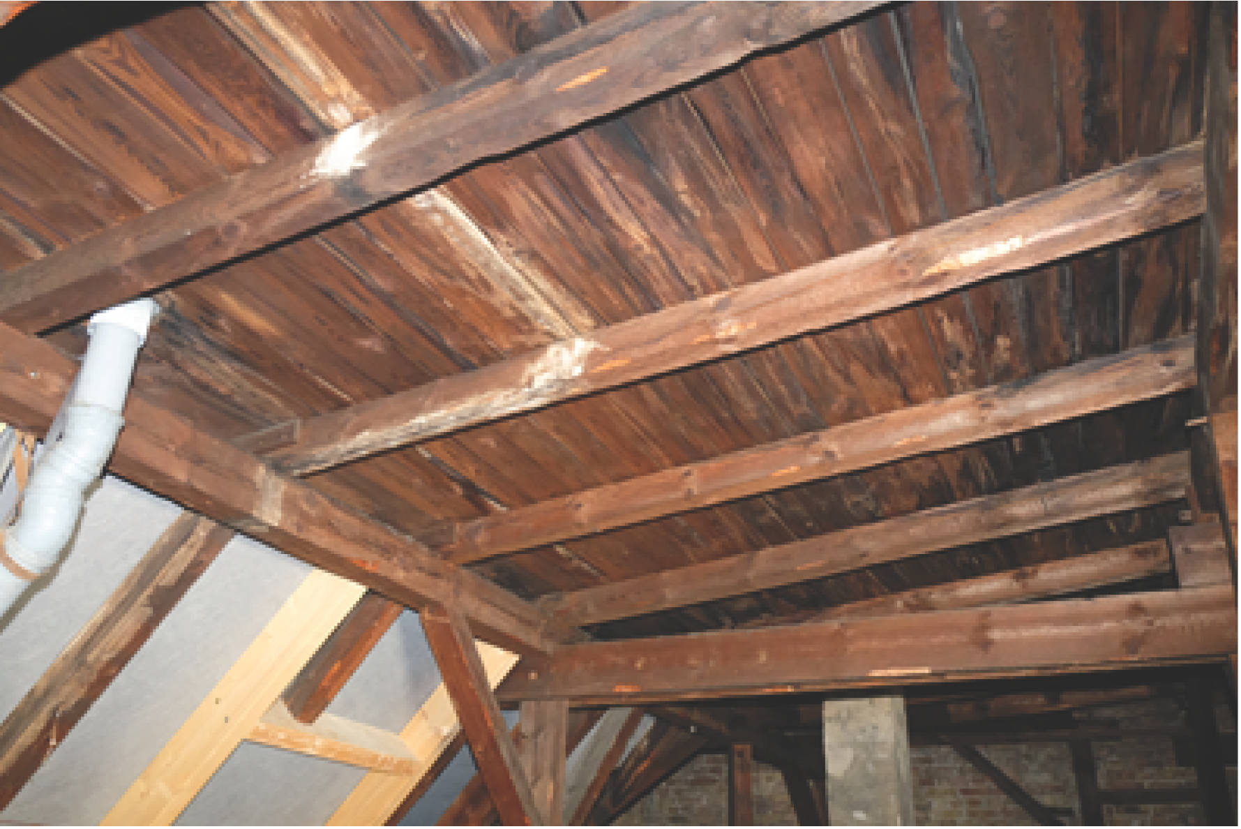 berlin 0076 K 0100/2023 Heylstraße 29, 10825 Berlin, Schöneberg 8