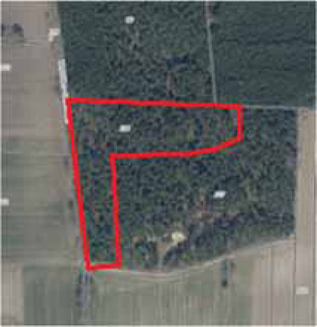 unbebautes Grundstück in südlich und östlich, 16866 Gumtow, Döllen - Bild 3