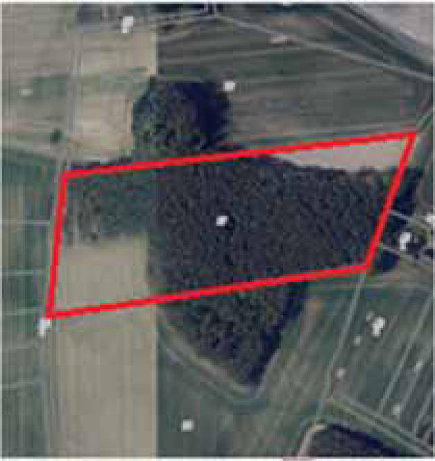 unbebautes Grundstück in südlich und östlich, 16866 Gumtow, Döllen