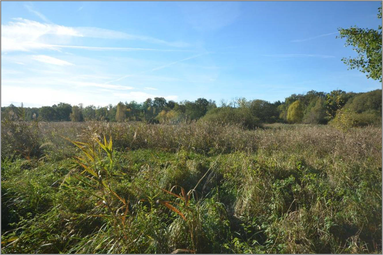 Sonstiges, unbebautes Grundstück in ., 16833 Fehrbellin, Hakenberg