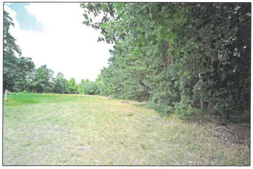 land- und forstwirtschaftlich genutztes Grundstück in Gemarkung Strubensee, 00000 Landkreis Ostprignitz-Ruppin