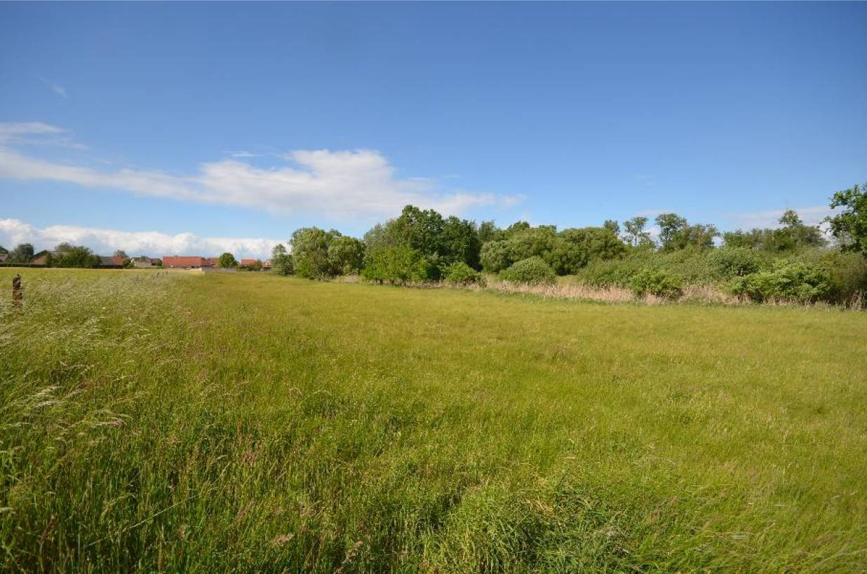 Zweifamilienhaus, land- und forstwirtschaftlich genutztes Grundstück, Sonstiges in Kremmener Weg 2, 16766 Kremmen, Groß-Ziethen - Bild 4