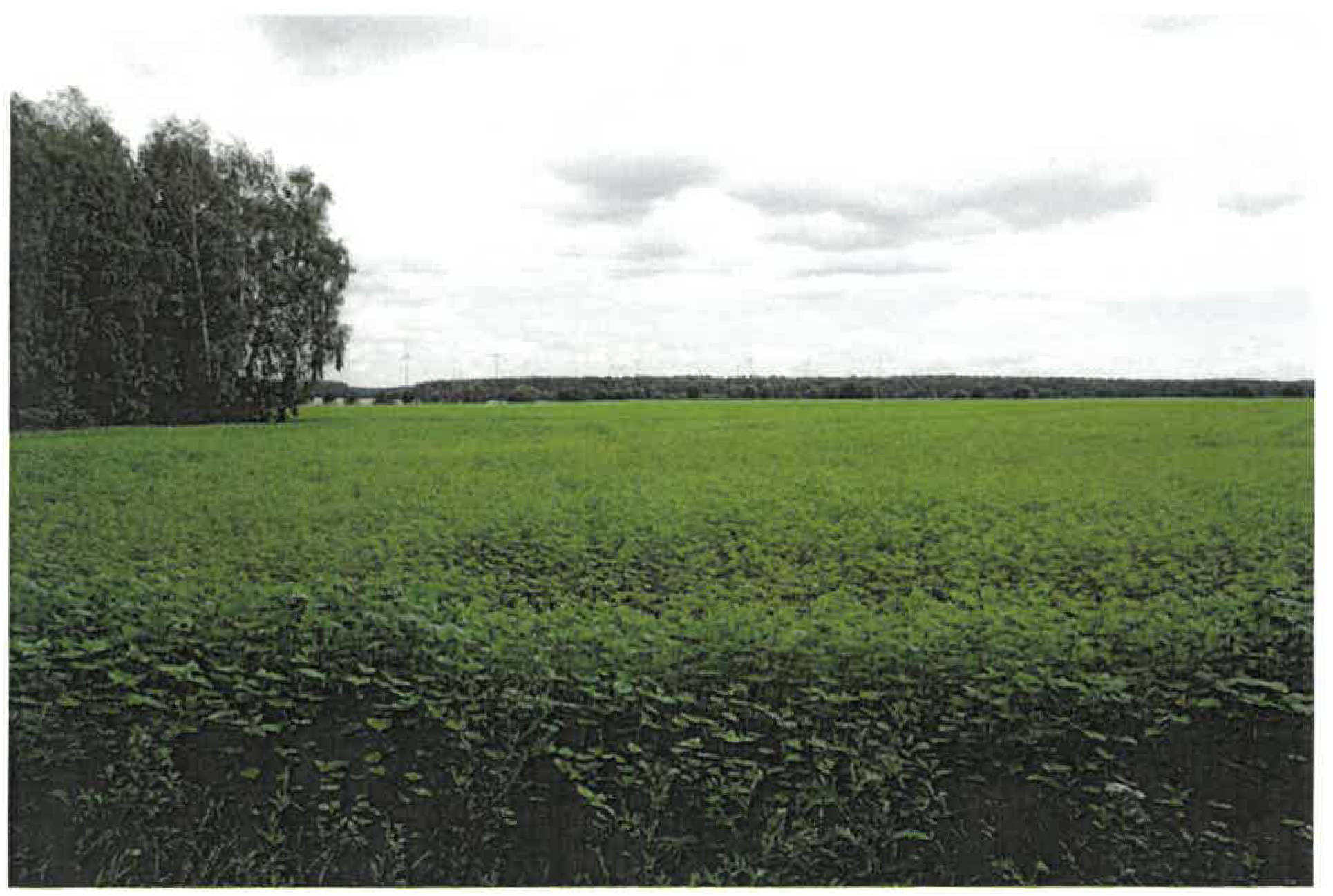 brandenburg 0052K0008-2024 ., 00000 Caminchen 9