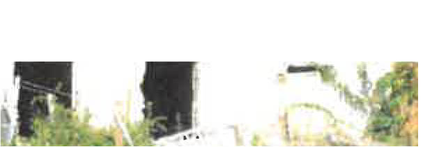 Einfamilienhaus in Lindenstraße 1, 15913 Märkische Heide, Alt-Schadow - Bild 2