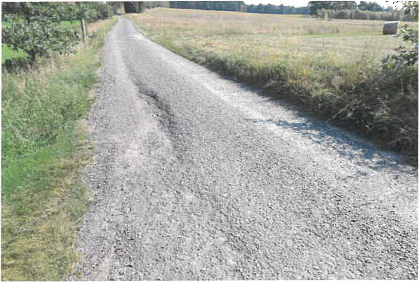 land- und forstwirtschaftlich genutztes Grundstück in Dolz, 00000 Mochow - Bild 3