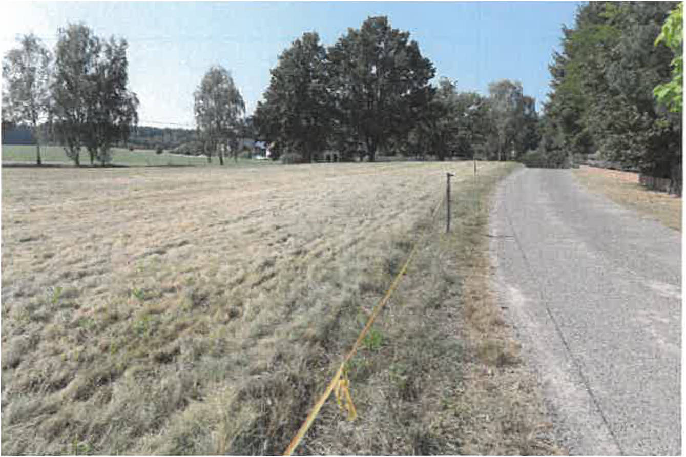 brandenburg 0052K0016-2024 Dolz, 00000 Mochow 7