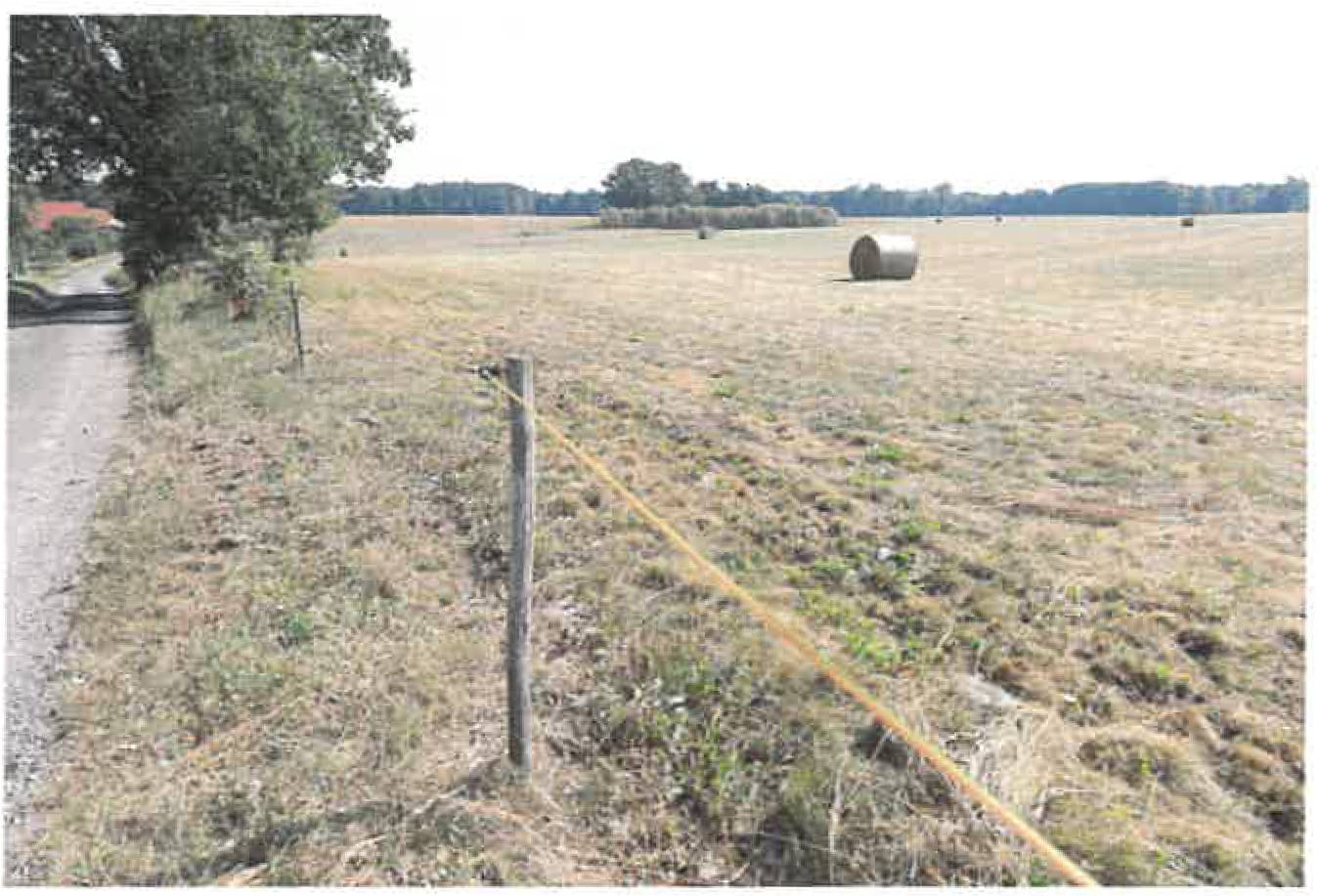 brandenburg 0052K0016-2024 Dolz, 00000 Mochow 6