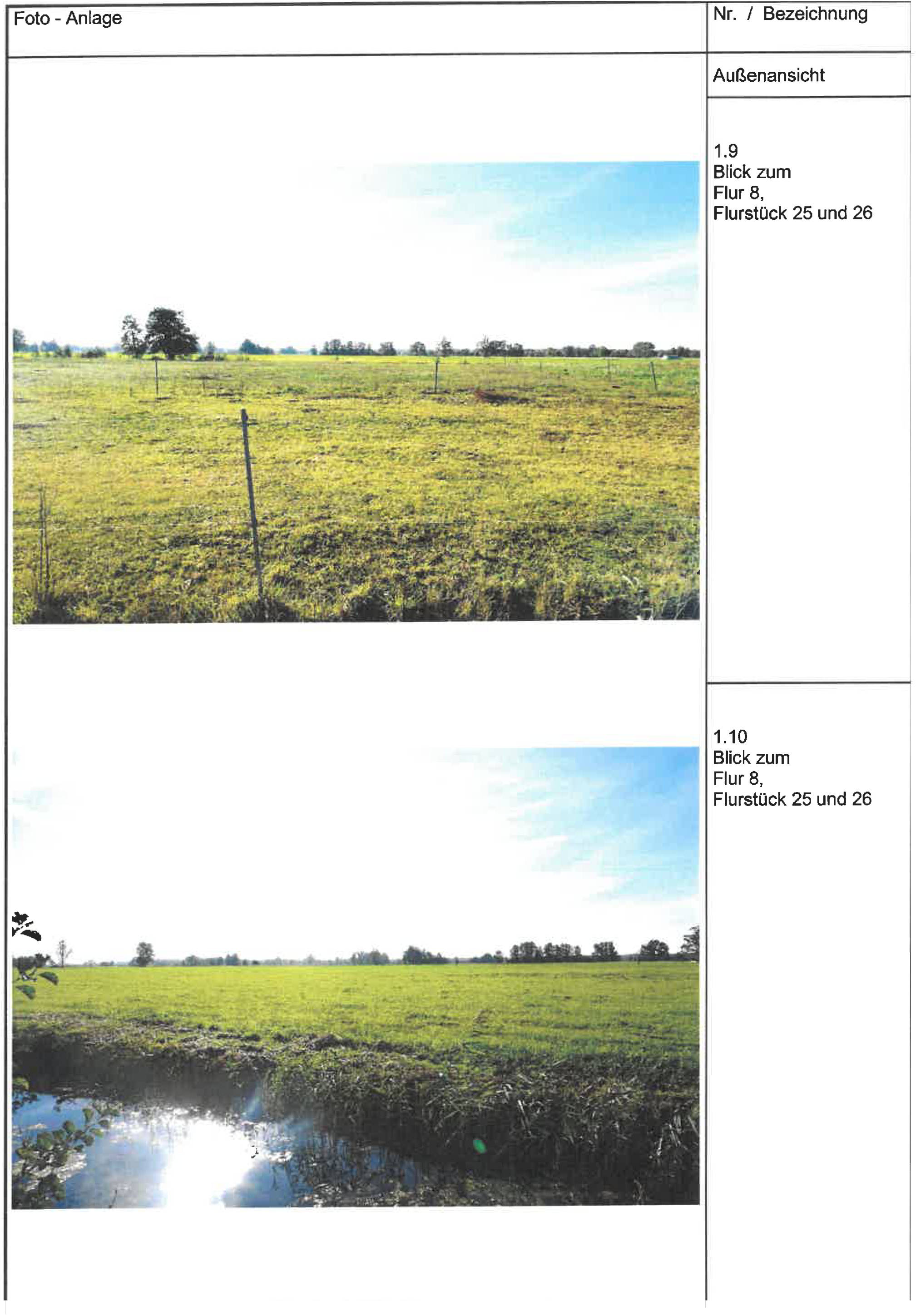 Einfamilienhaus, land- und forstwirtschaftlich genutztes Grundstück in Dorfstraße 90, 00000 Schlepzig - Bild 5