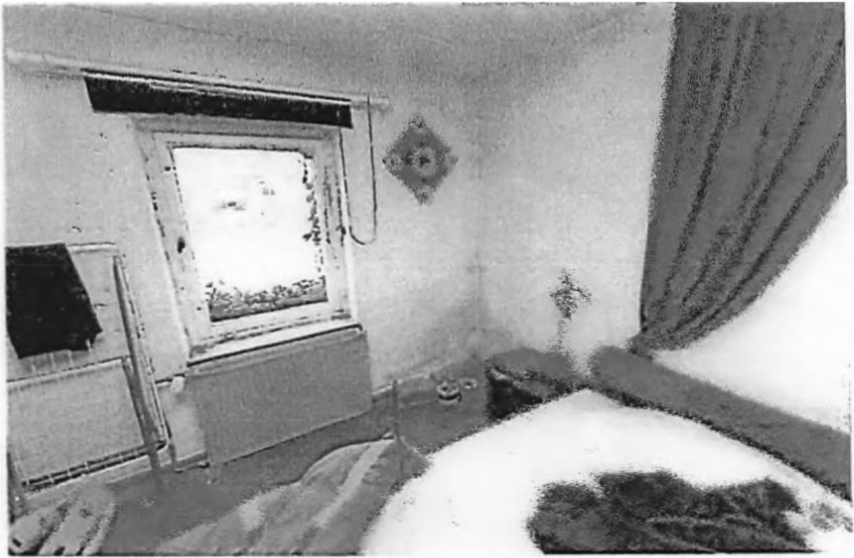Grundstück in Zeckeriner Dorfstraße 42, 03249 Sonnewalde OT Zeckerin - Bild 5
