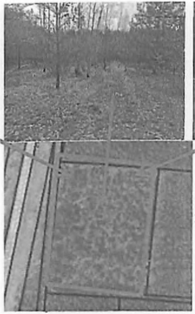 Land-/Forstwirtschaft in , 03249 Sonnewalde OT Zeckerin - Bild 2