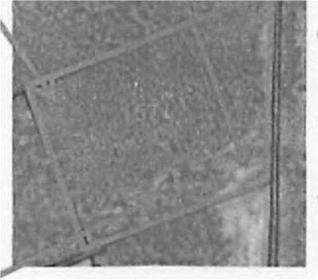 brandenburg 15 K 11/25 , 03249 Sonnewalde OT Zeckerin 6