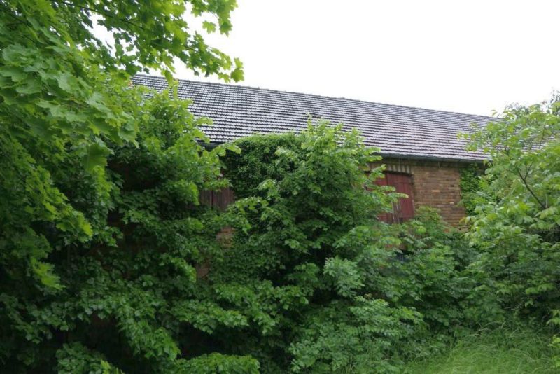 Sonstiges in Dorfstraße 26, 04936 Hohenbucko OT Proßmarke - Bild 2