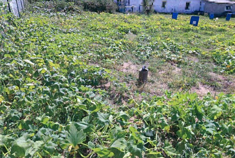 Grundstück 15 K 17-24 , 04895 Burxdorf