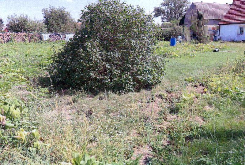 Grundstück in , 04895 Burxdorf - Bild 2