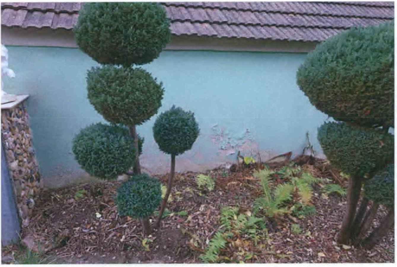 brandenburg 15 K 17/25 Bergstraße 10, 04931 Mühlberg/Elbe OT Fichtenberg 21