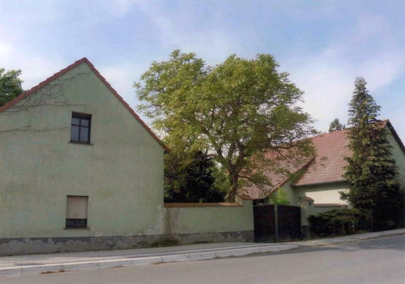 brandenburg 15 K 2-24 Dorfstraße 12, 04936 Lebusa