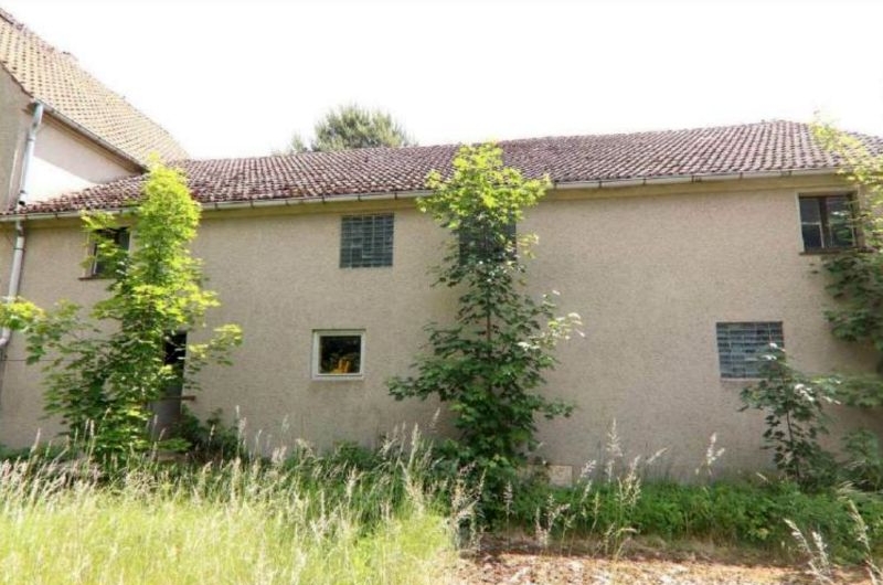 Sonstiges in Am Bahnhof 1, 04936 Hohenbucko - Bild 2