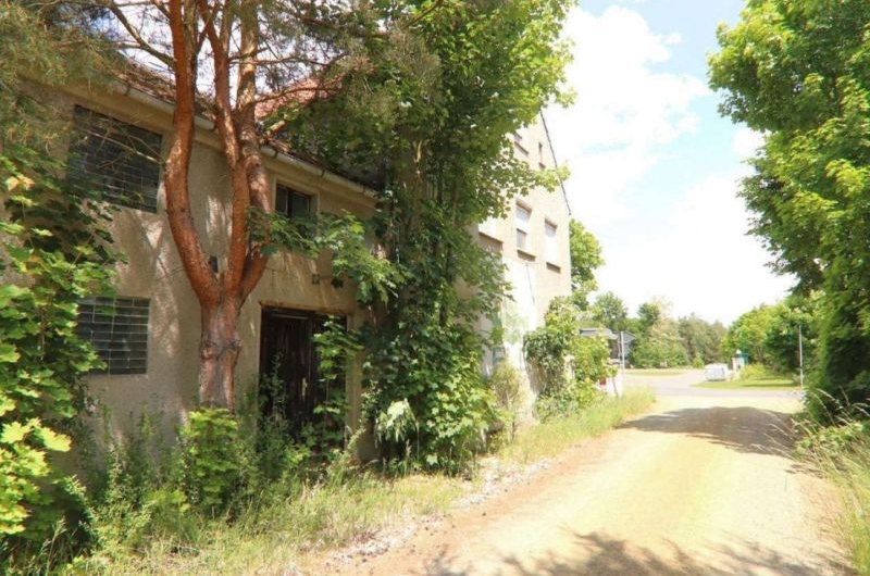 Sonstiges in Am Bahnhof 1, 04936 Hohenbucko - Bild 5