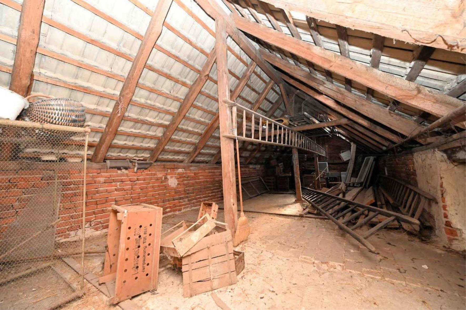 brandenburg 15 K 21/25 Trift 8, 04934 Hohenleipisch 21