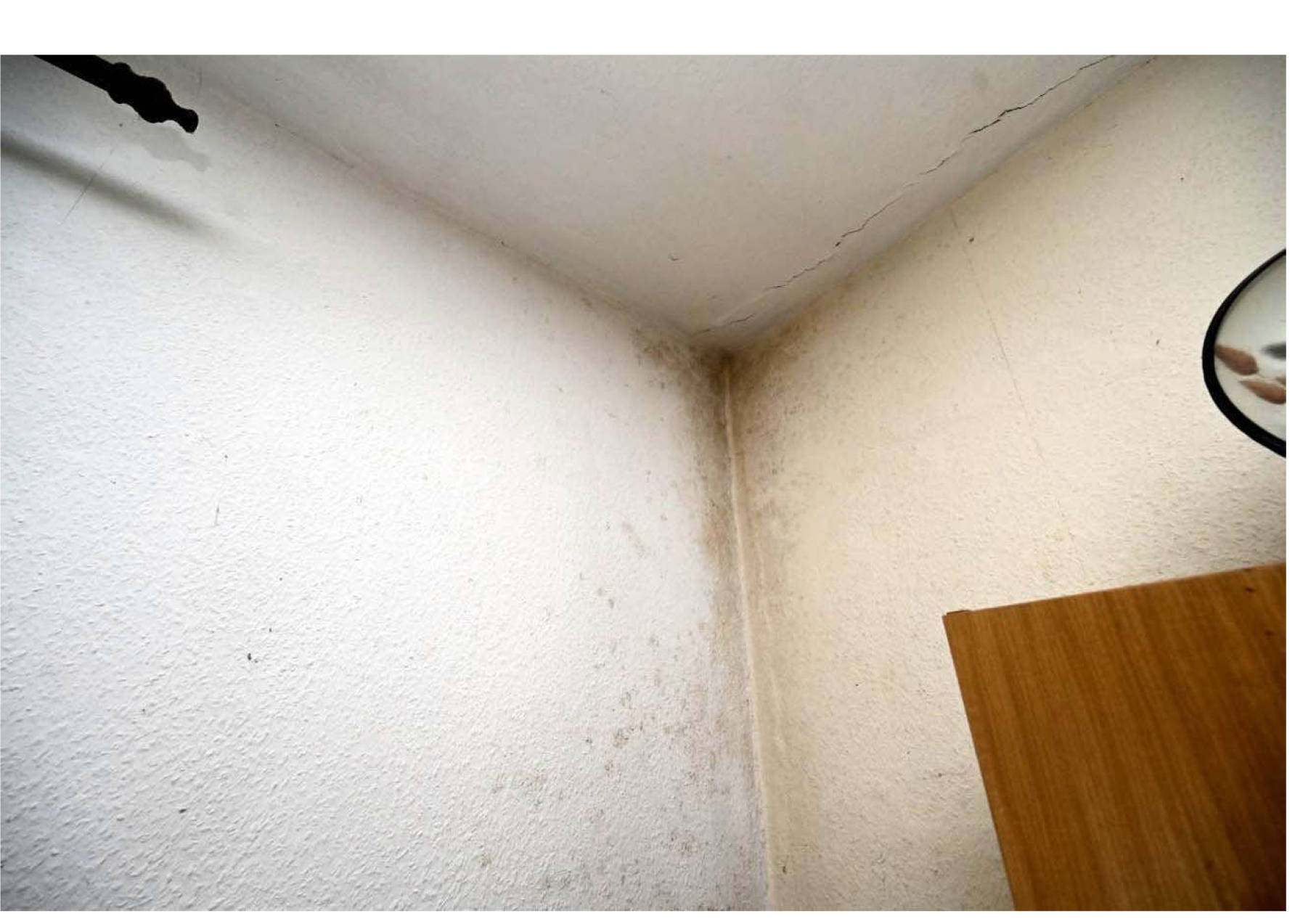 brandenburg 15 K 21/25 Trift 8, 04934 Hohenleipisch 9