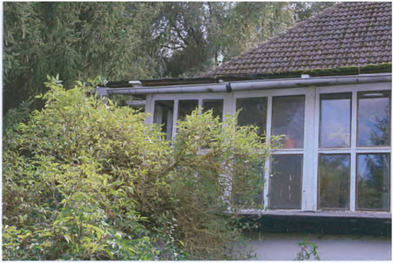 Wohnen/Gewerbe in Werenzhainer Ziegelei 2, 03253 Doberlug-Kirchhain OT Werenzhain - Bild 4