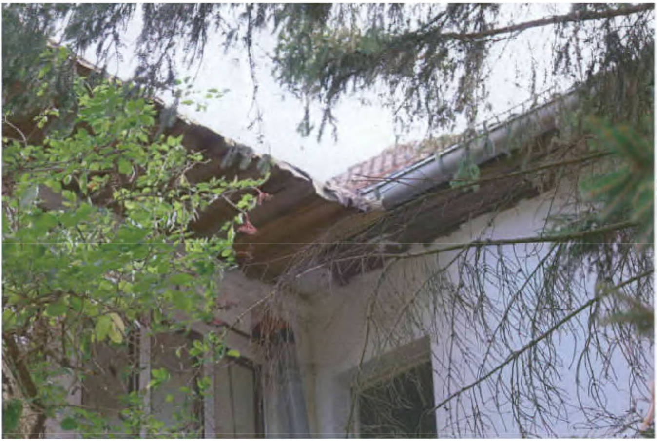 brandenburg 15 K 36/23 Werenzhainer Ziegelei 2, 03253 Doberlug-Kirchhain OT Werenzhain 25